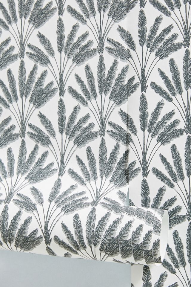 Frond Fan Wallpaper #1