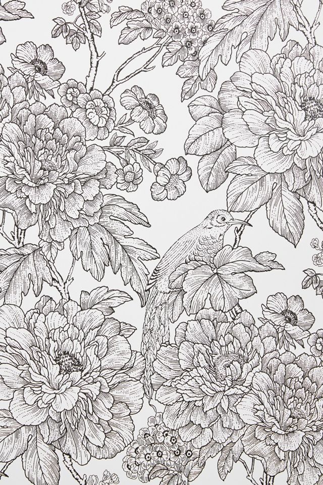 Birds of Paradise Breeze Wallpaper #3