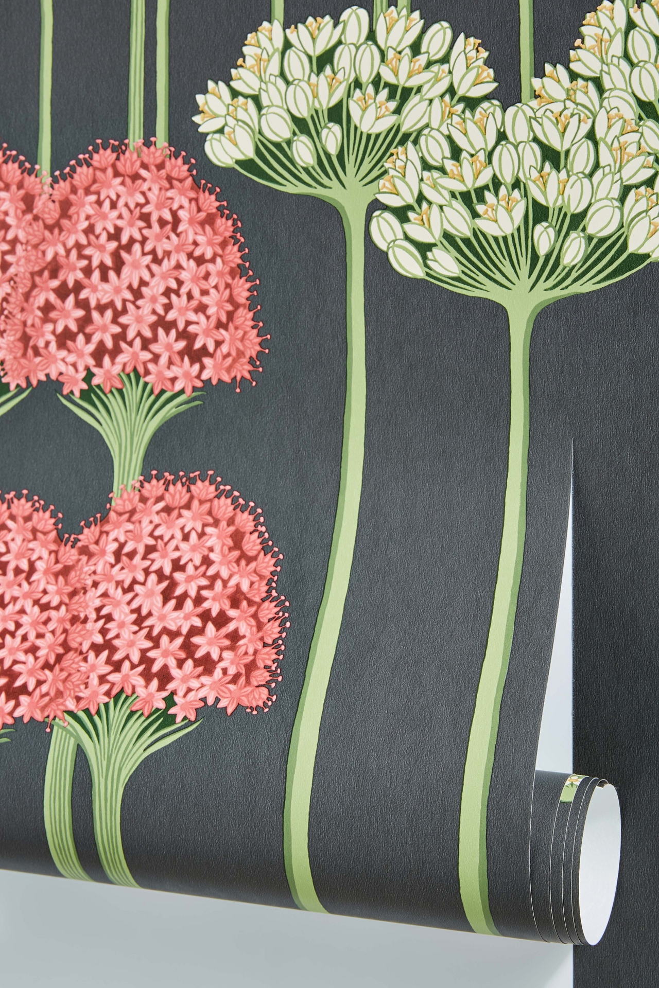 Cole & Son Allium Wallpaper