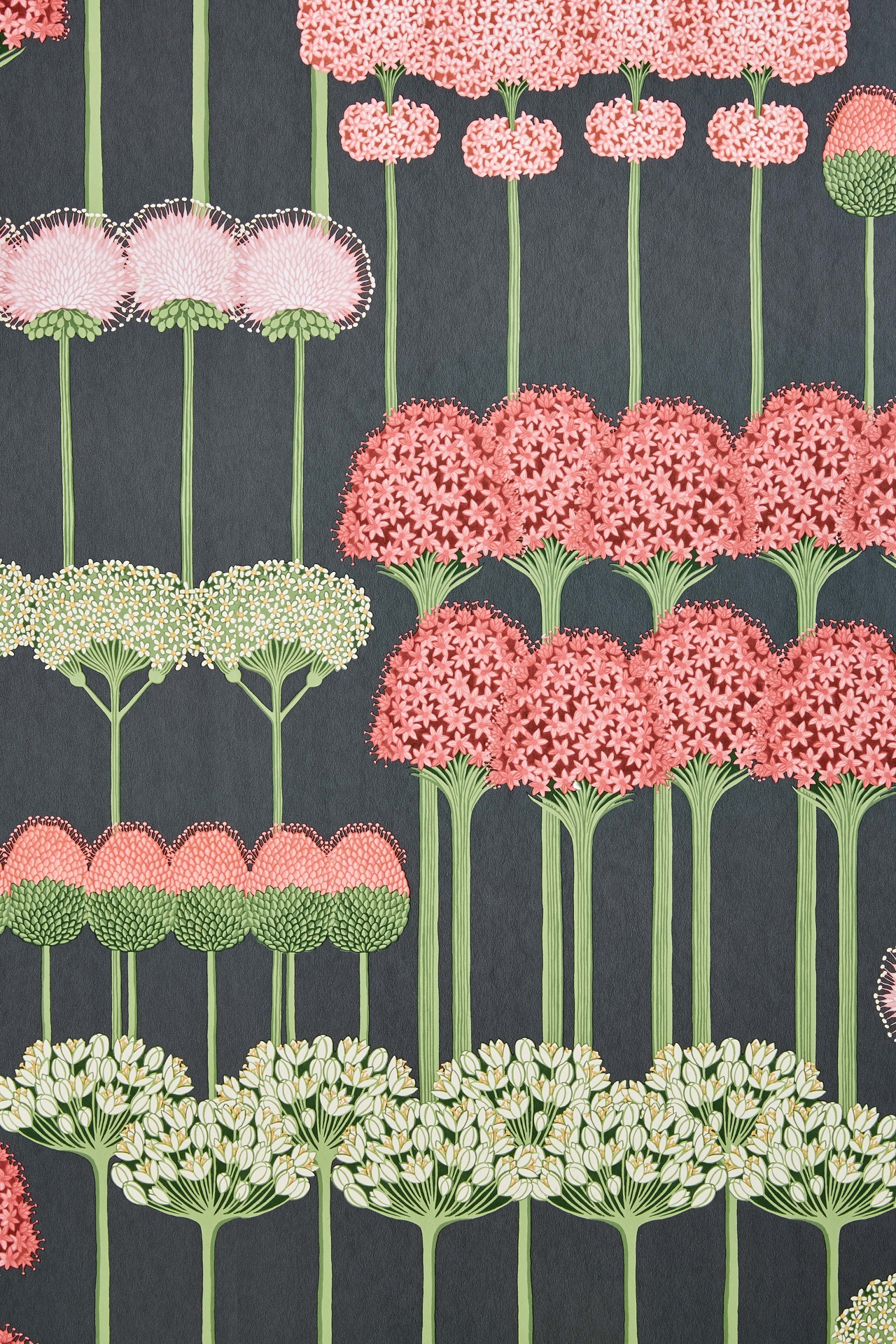 Cole & Son Allium Wallpaper