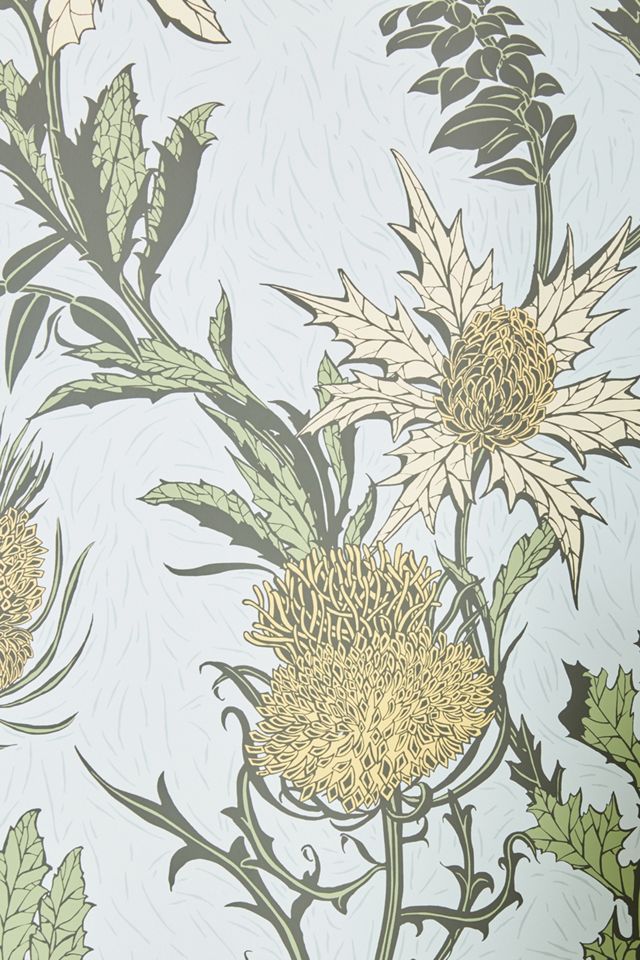 Thistle Wallpaper #1
