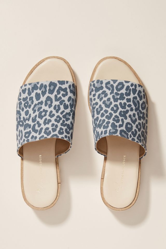 Cady Sport Slides #1