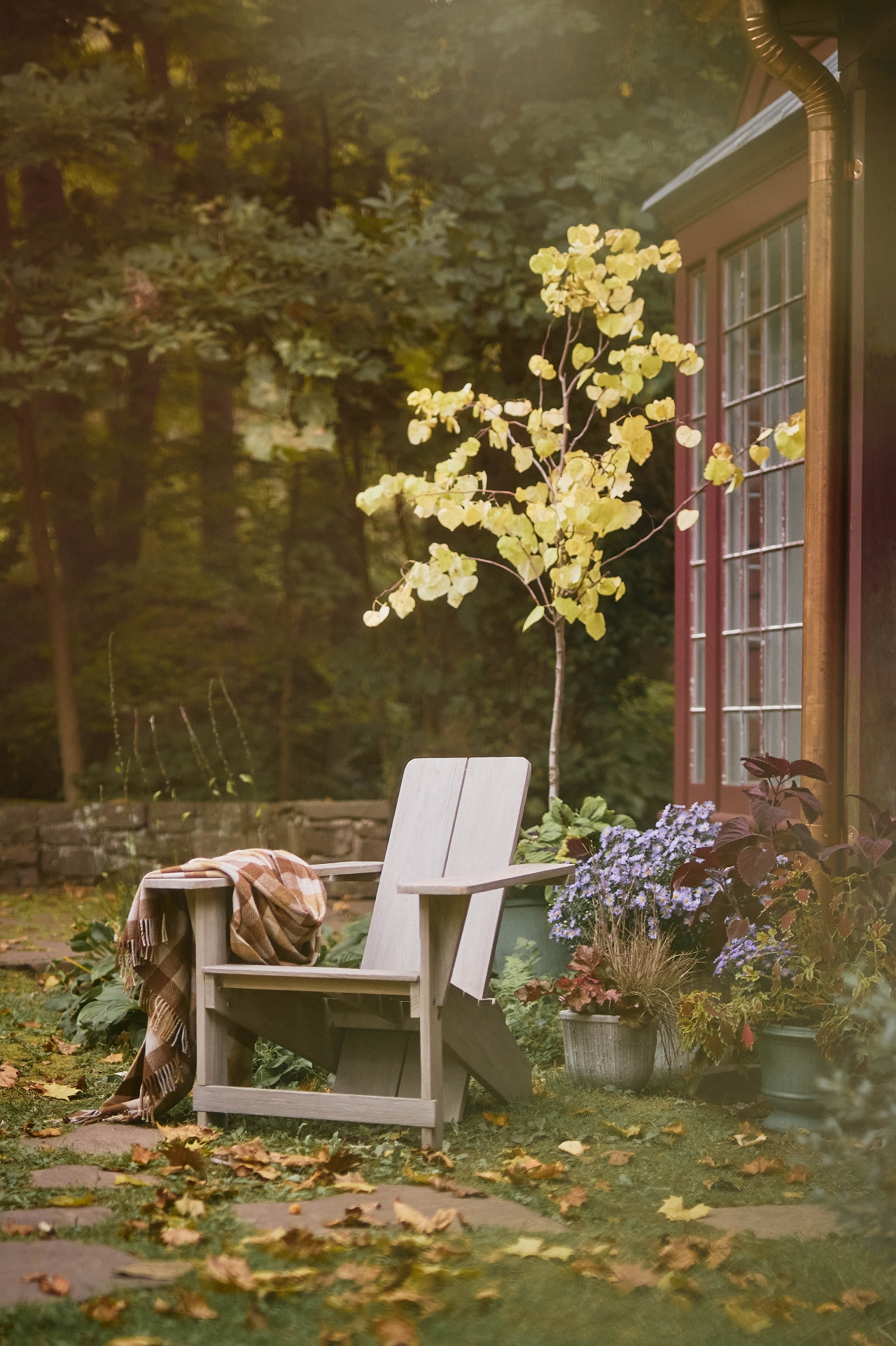 Grafton Teak Chair