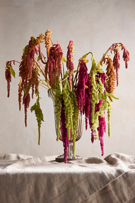 Amaranth Bouquet | AnthroLiving