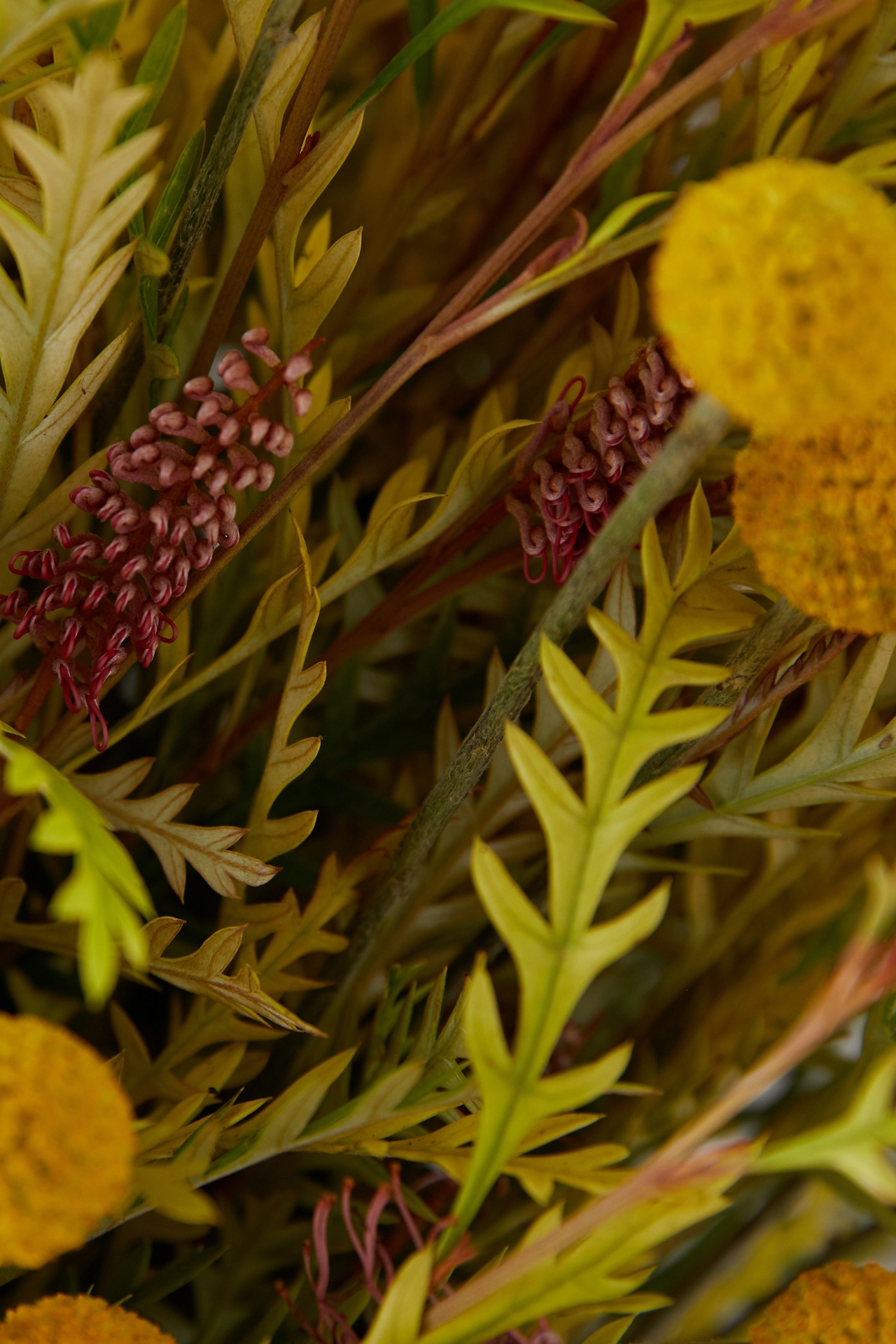 Grevillea + Craspedia Bouquet