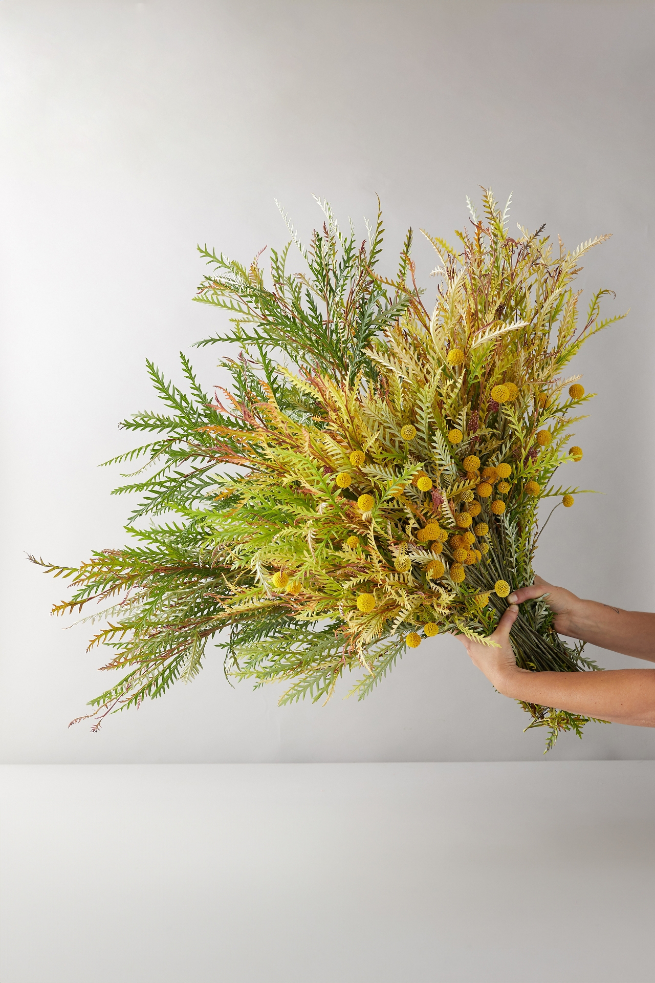 Grevillea + Craspedia Bouquet