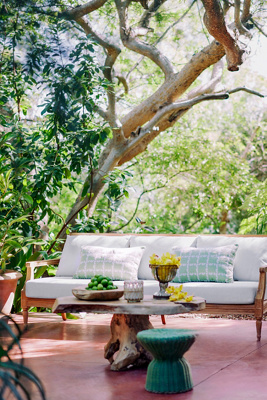 Terrain Teak Root Coffee Table - Thumbnail 4
