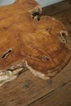 Teak Root Coffee Table