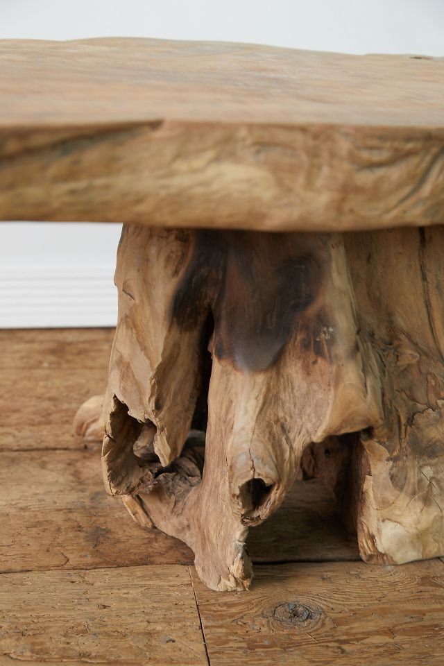 Teak Root Coffee Table Anthropologie