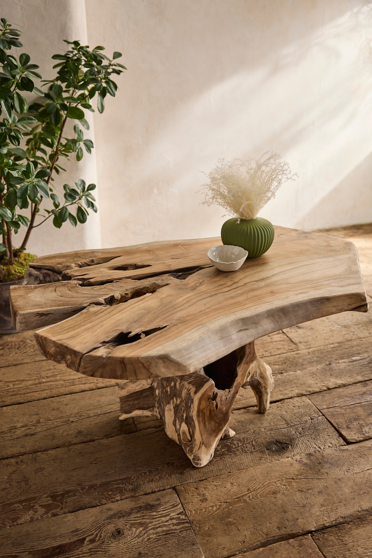 Teak Root Coffee Table