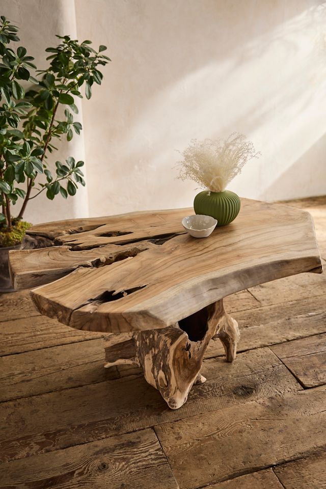 Teak Root Coffee Table #6