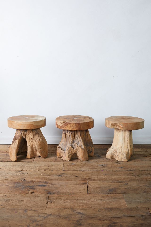 Teak Root Side Table #6