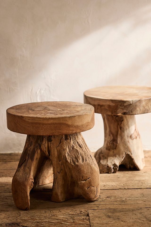 Teak Root Side Table #7