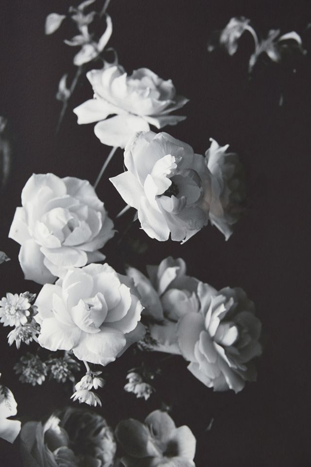 Black and White Floral Wall Art #2