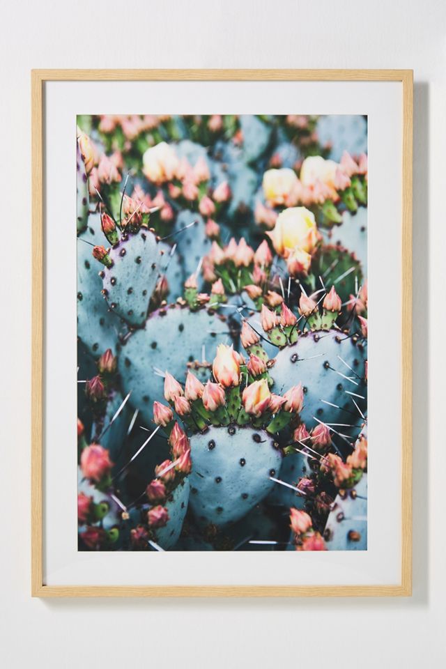 Prickly Pear Wall Art #1