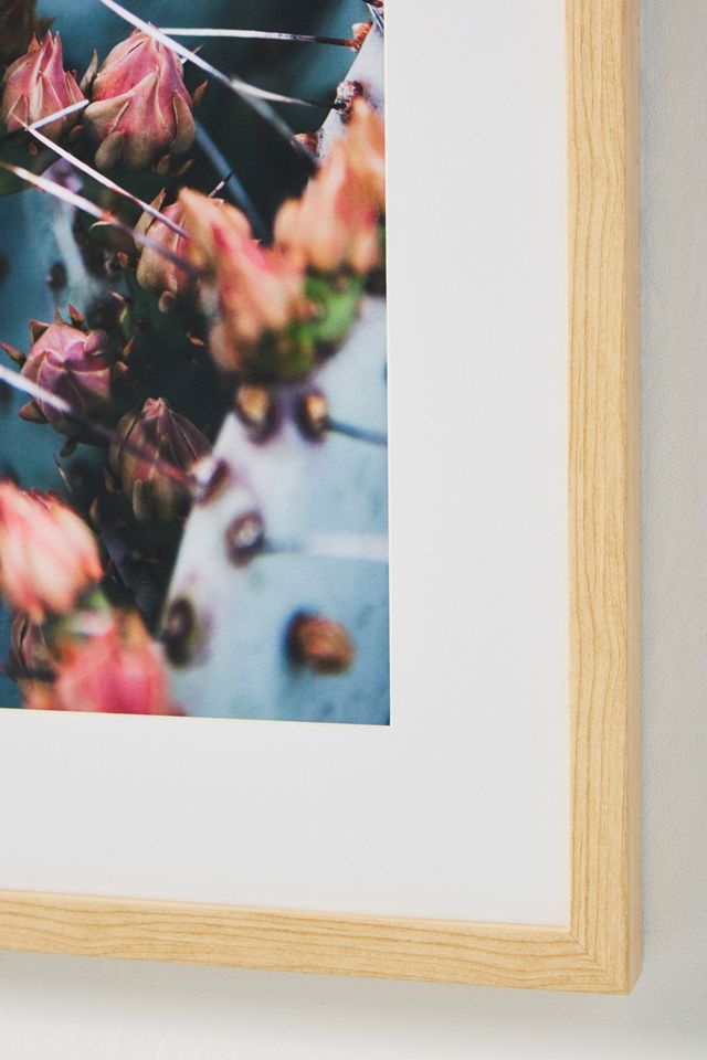 Prickly Pear Wall Art #3