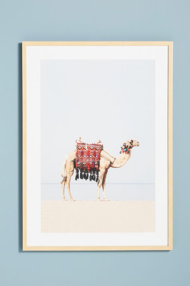 Camel in the Desert Wall Art #1