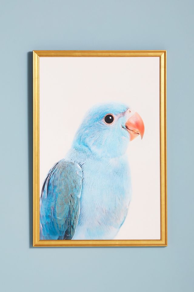 Blue Parrot Wall Art #1