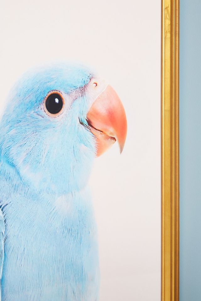 Blue Parrot Wall Art #2