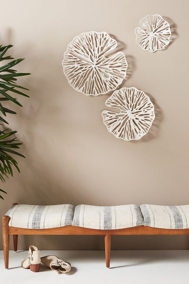 Sand Dollar Wall Hangings, Set of 3