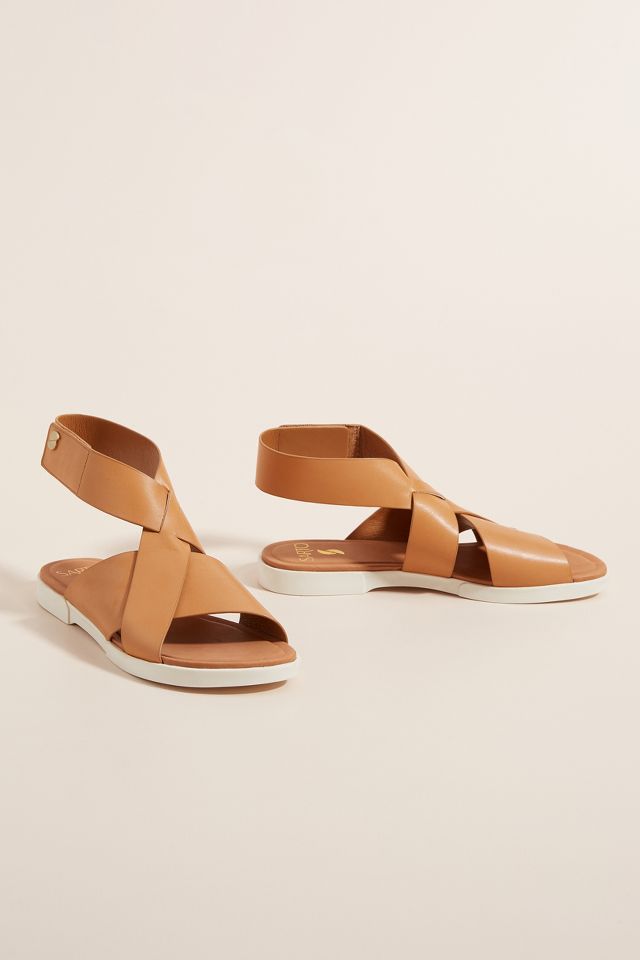 sarto by franco sarto akasha sandals www.xn 80aaakgglhajljy4d7d