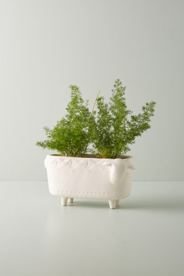 Terracotta Animal Planter | Anthropologie UK