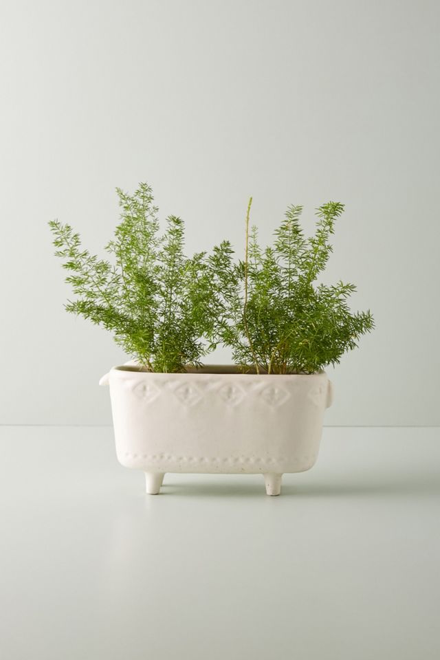 Terracotta Animal Planter #3