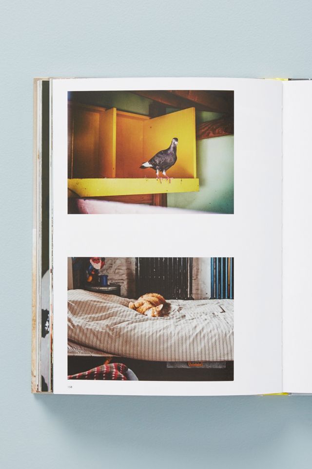 Wild At Heart #3