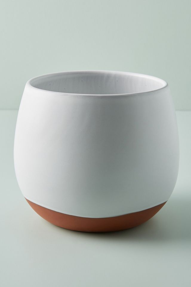 Arlo Pot #1
