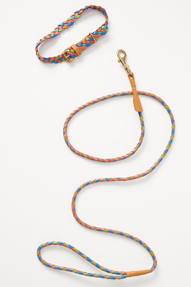 Anthropologie dog outlet leash