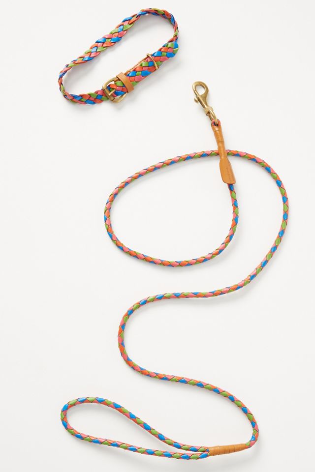 Windsor Dog Collar #1