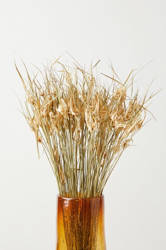 Dried Tulip Star Bouquet #1