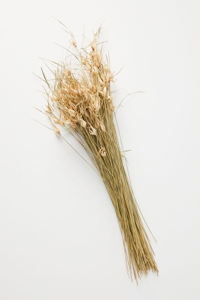 Dried Tulip Star Bouquet