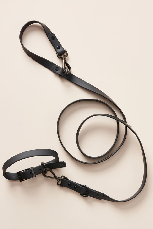 Wild One Dog Leash #1
