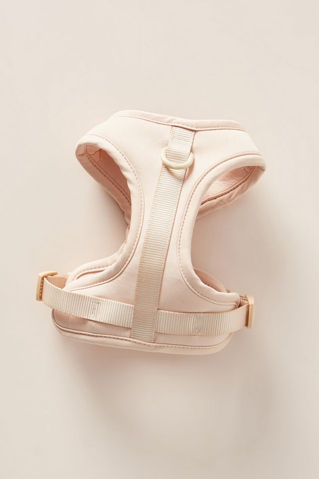 Wild One Dog Harness #2