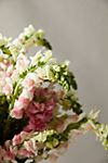 Fresh Snapdragon Bouquet #2