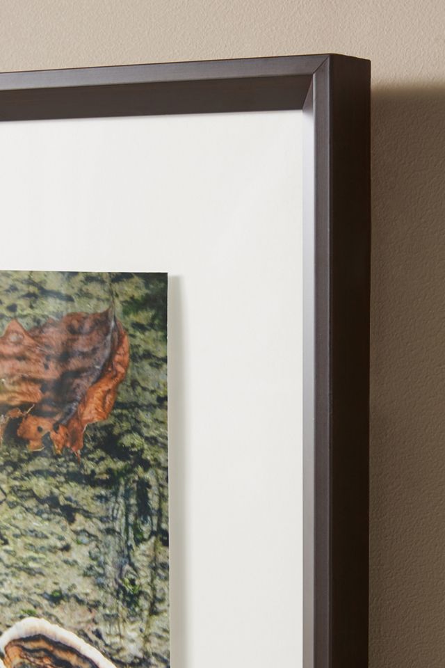 Mushrooms Wall Art #2