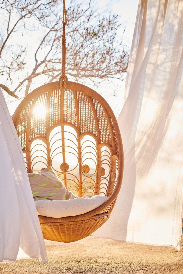 Peacock Indoor Outdoor Hanging Chair