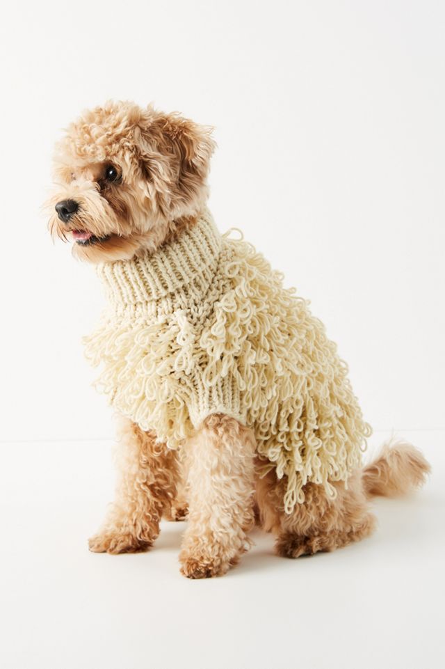 Curly Dog Sweater #1