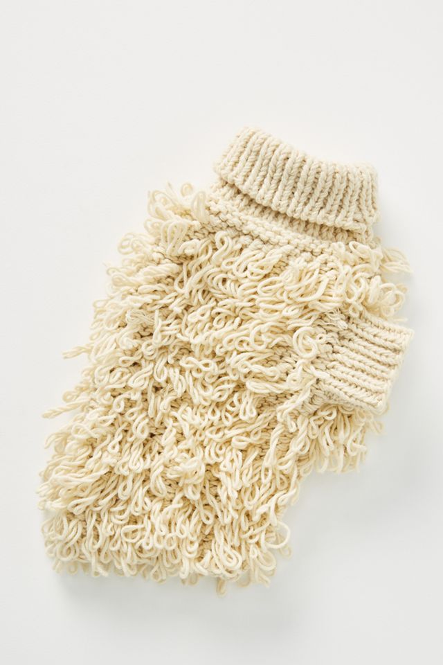 Curly Dog Sweater #2