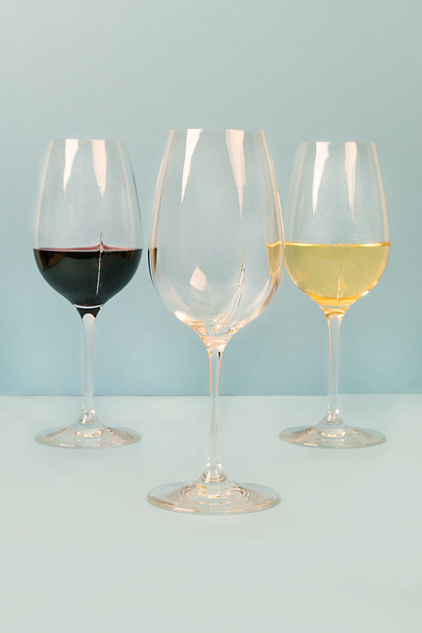 L'atelier Du Vin Wine Tasting Glasses, Set Of 4 In Transparent
