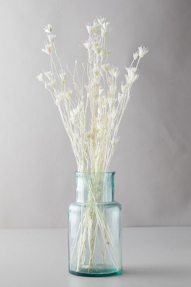 Dried Nigella Orientalis Bunch #2