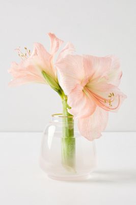 Marilyn Vase