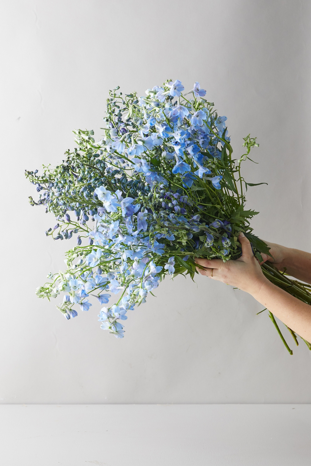 Fresh Blue Delphinium Bouquet