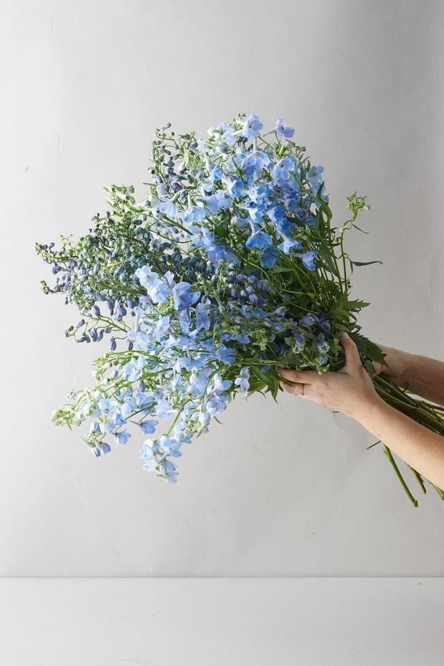 Fresh Blue Delphinium Bouquet #1