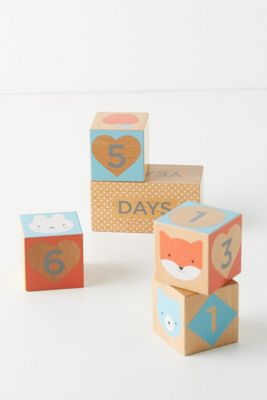 Milestone Baby Blocks