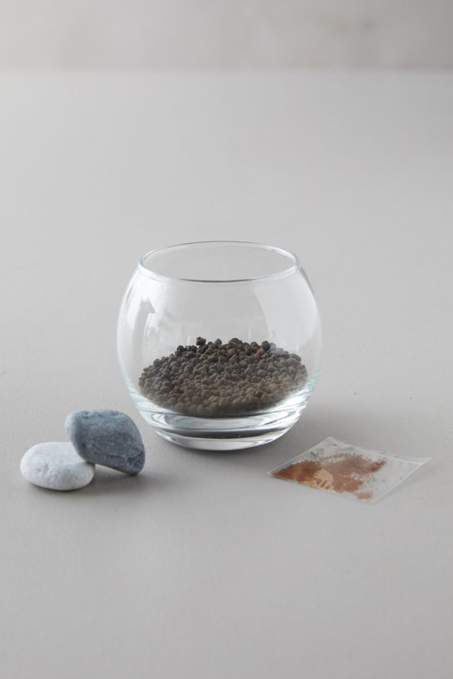 Calming Water Garden Grow Kit #1