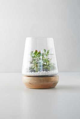 Farmhouse Terrarium
