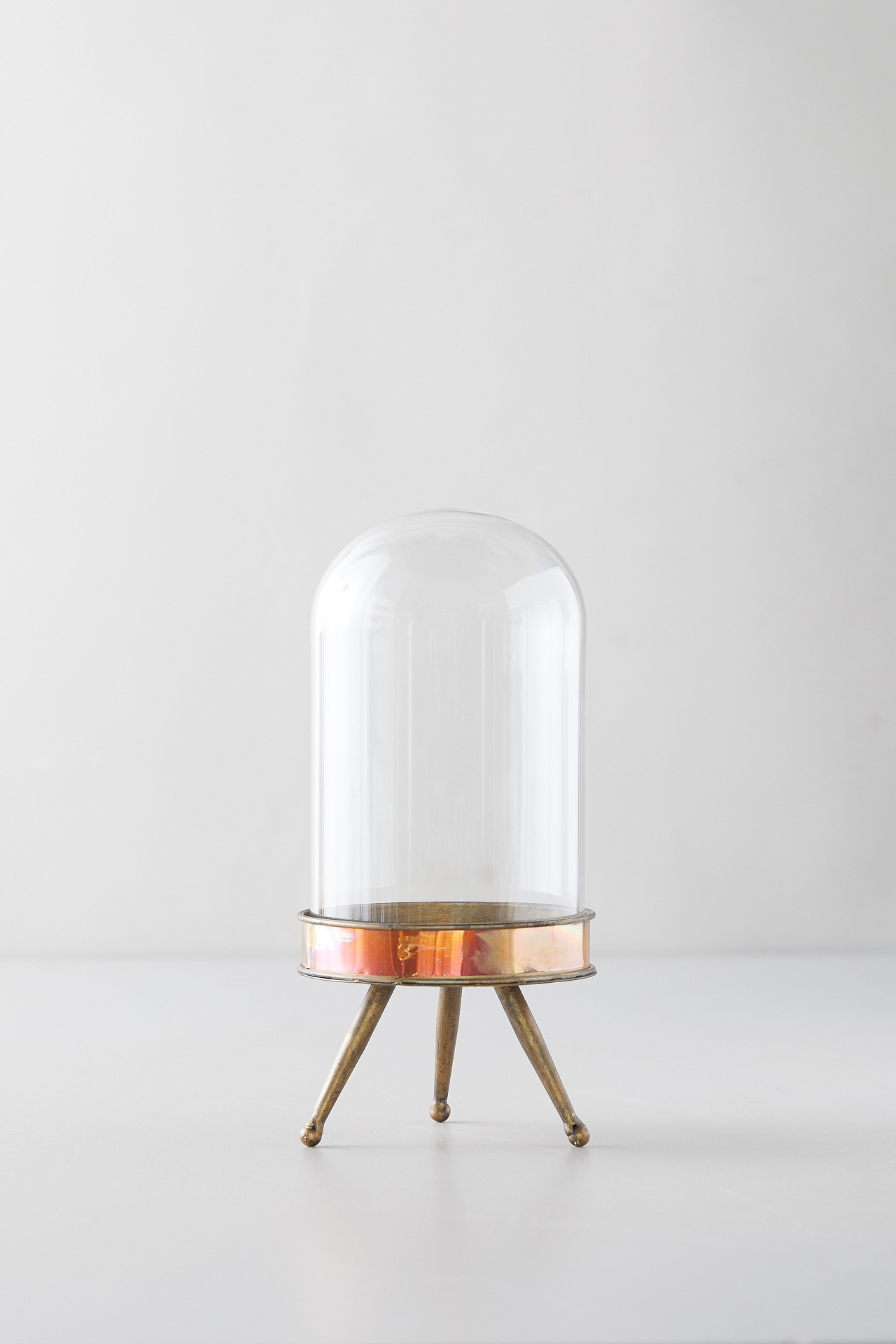 Distressed Metal + Glass Terrarium on Stand