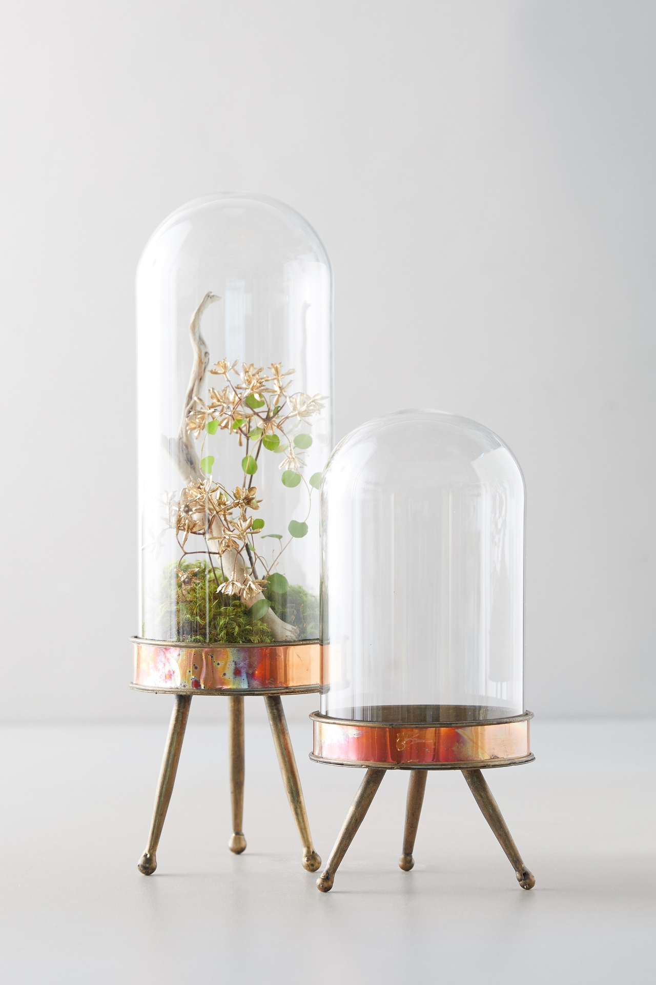 Distressed Metal + Glass Terrarium on Stand